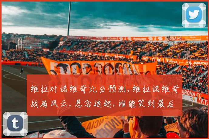 维拉对诺维奇比分预测,维拉诺维奇战局风云,悬念迭起,谁能笑到最后