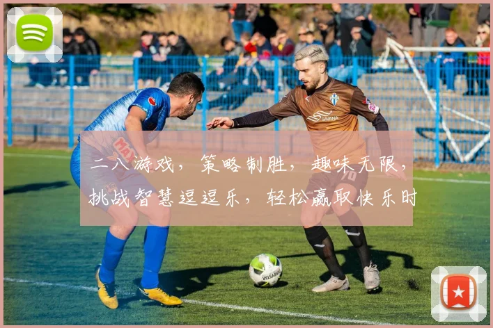 二八游戏，策略制胜，趣味无限，挑战智慧逗逗乐，轻松赢取快乐时光