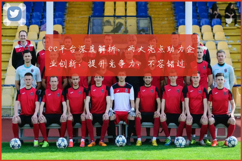 cc平台深度解析，两大亮点助力企业创新，提升竞争力，不容错过
